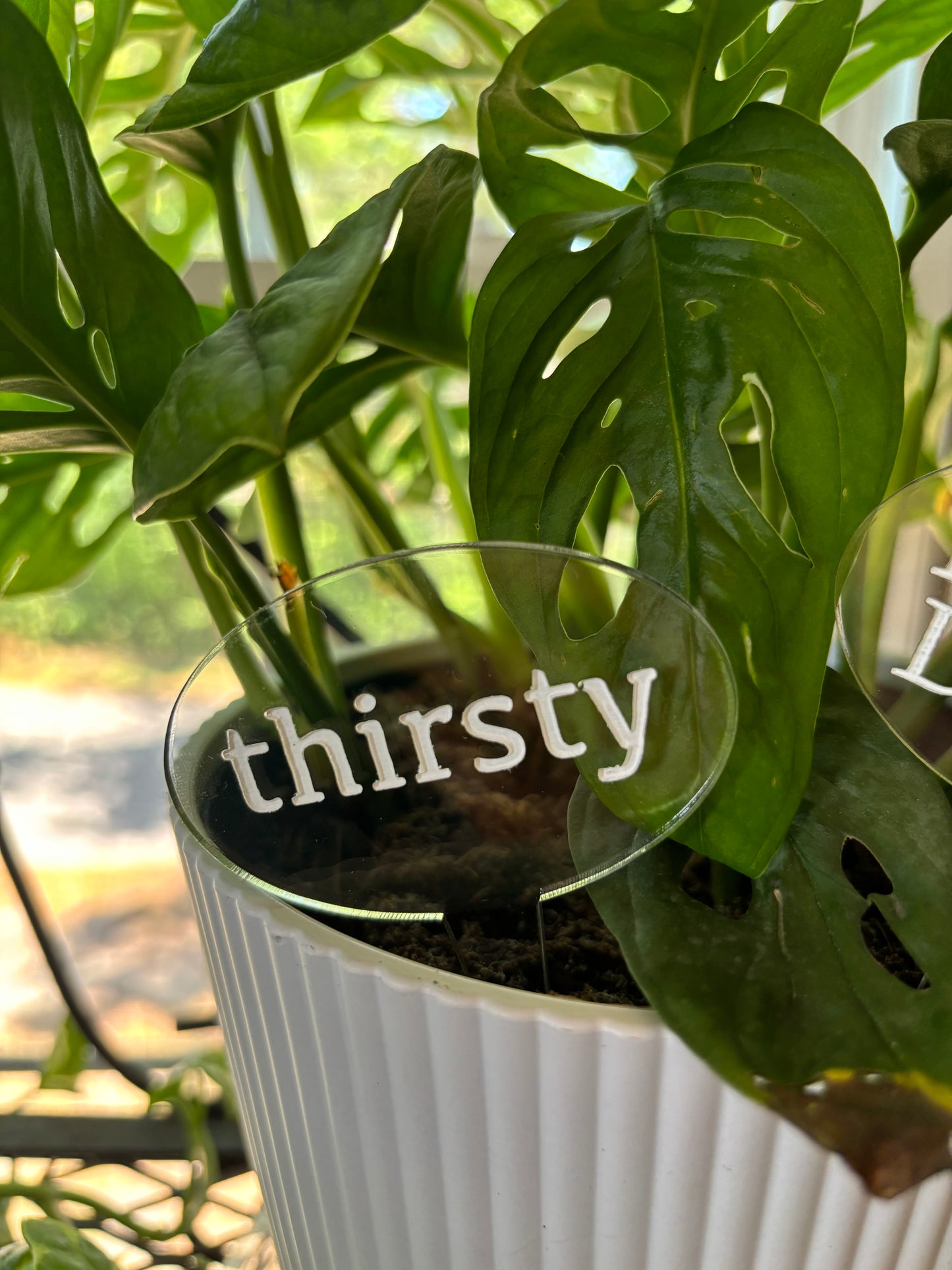 Plant Stakes