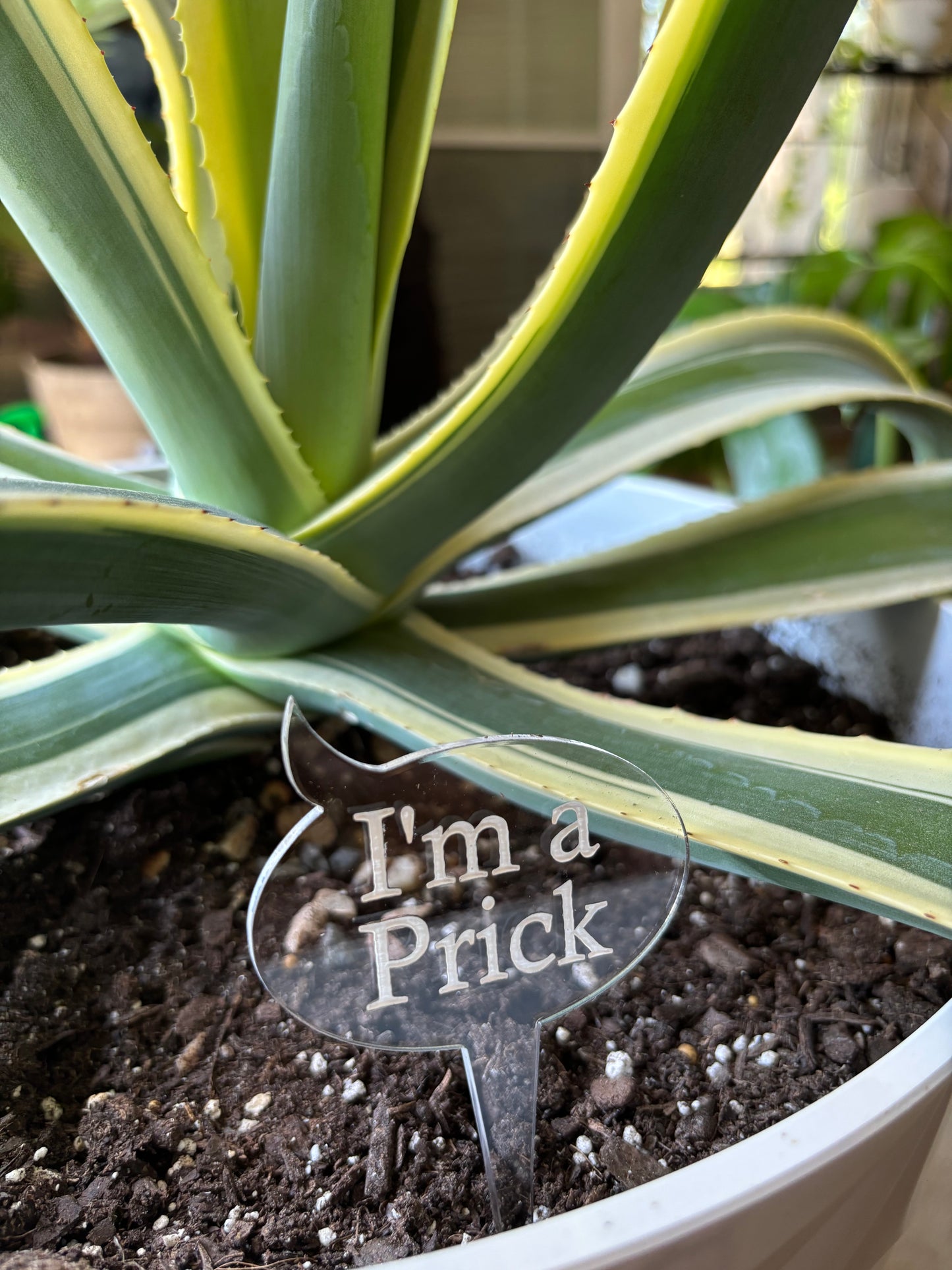 Plant Stakes