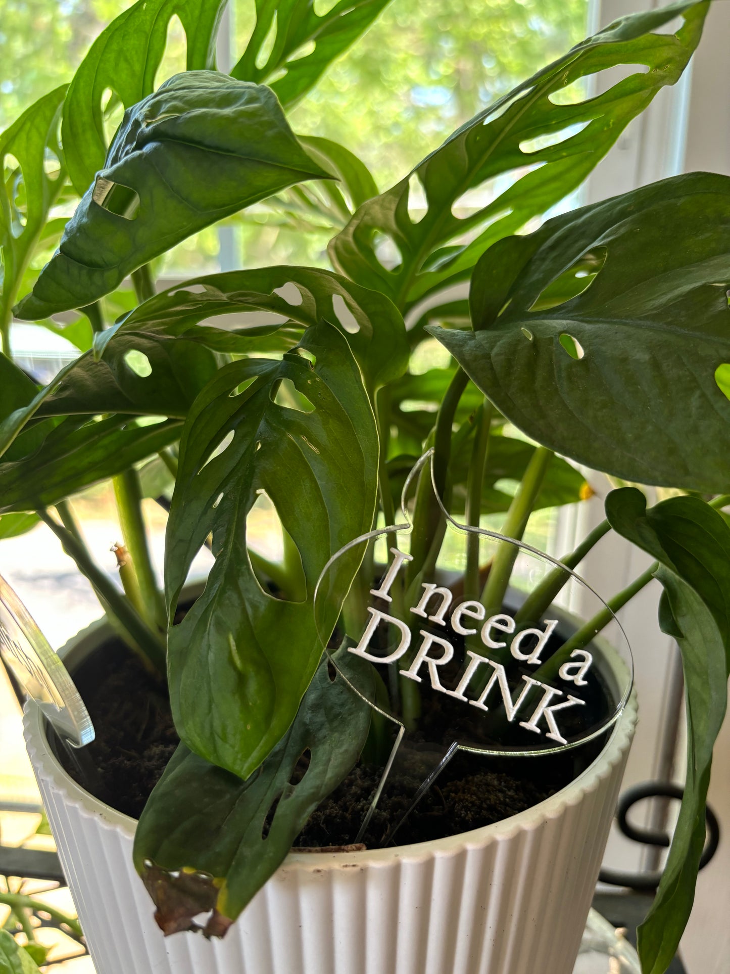 Plant Stakes