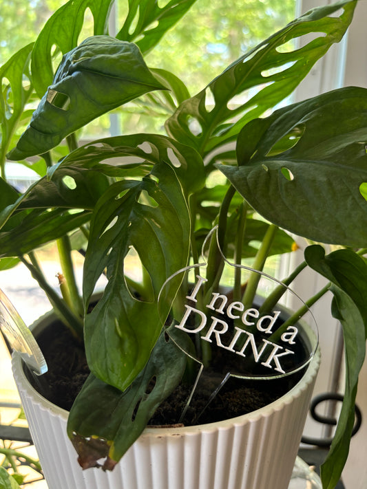 Plant Stakes